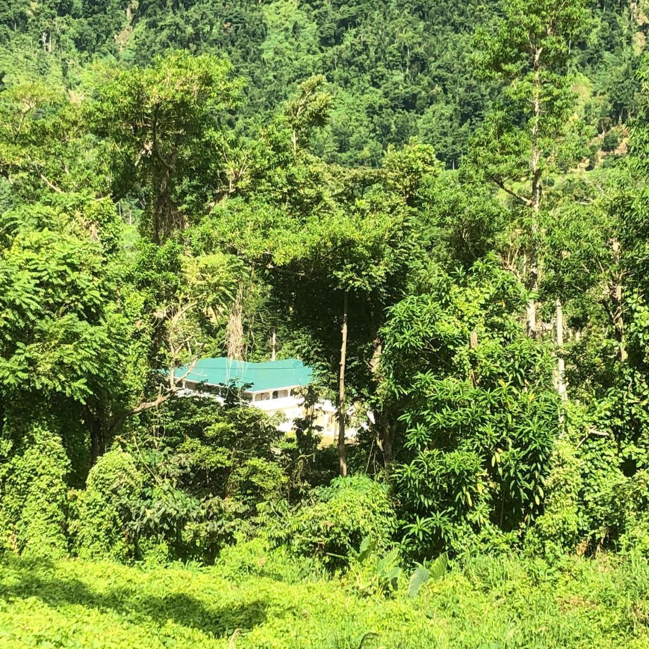 Soufriere Guesthouse Esterno foto